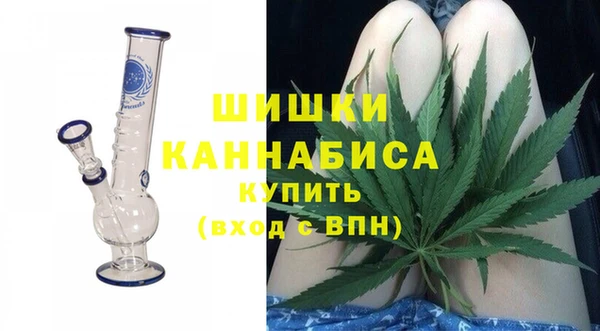 индика Балабаново